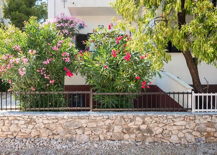 House 60m From The 아파트 로고즈니차